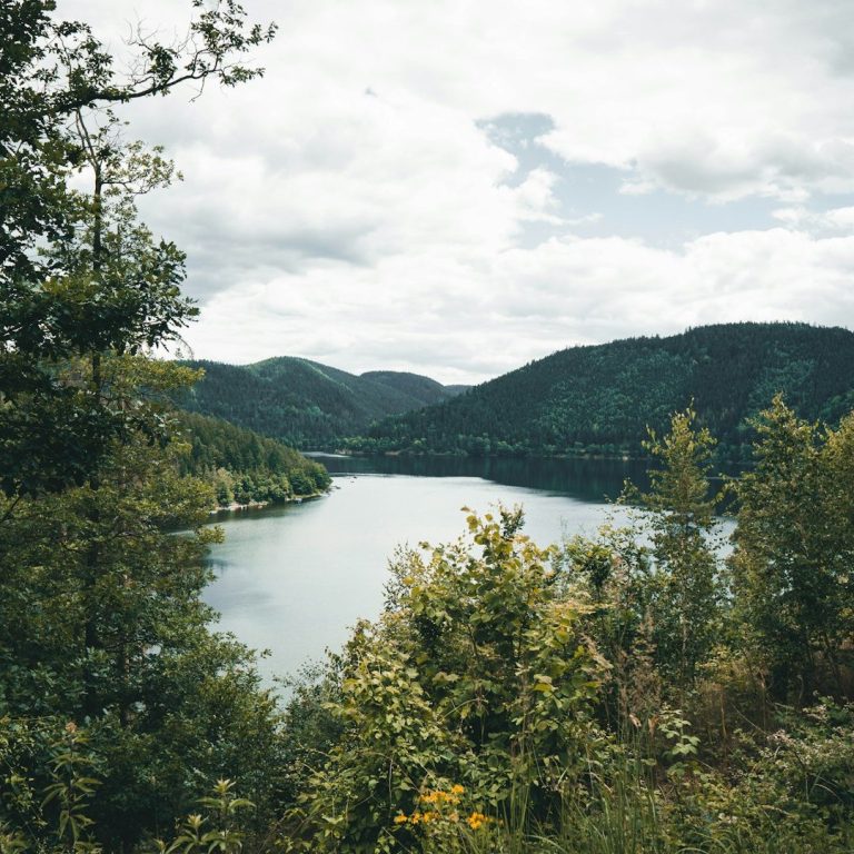 Saale Blick auf einen ruhigen See umgeben von grünen Hügeln und bewölktem Himmel.